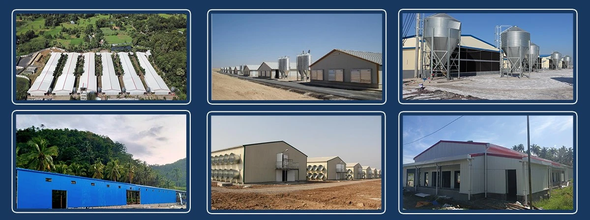 steel structure building 16