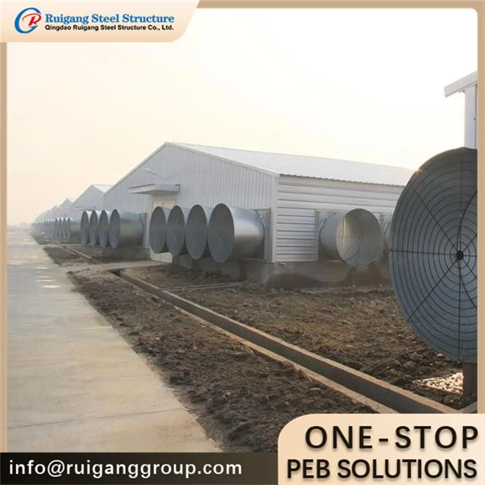Steel Structure Layer House